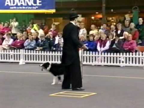 Chaplin Canine Freestyle
