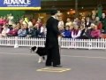 Chaplin Canine Freestyle