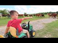 Using tractors and hay to help lost cows | Tractors for kids