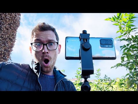 SORRY XIAOMI I'M NOT IMPRESSED. XIAOMI MI 11T PRO CAMERA REVIEW.