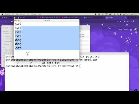 Bash Line Count