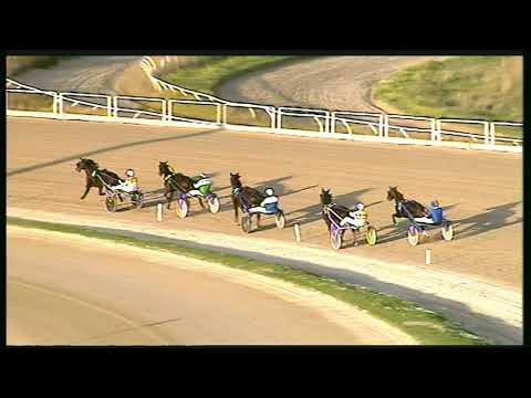 Trotto 30/10/2020 - 1ª prova di qualifica