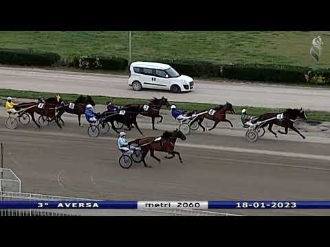 Aversa trotto 18 Gennaio 2023 - 3° Corsa