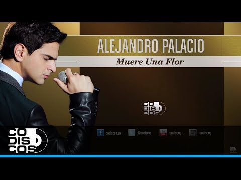 Muere Una Flor, Alejandro Palacio - Audio