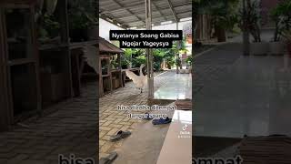 Download lagu Soang can't catch up mp3