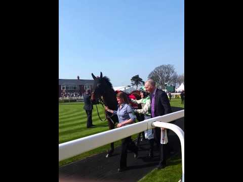 2015 Betfred Bowl parade ring