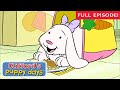 Fall Feast Norville S New Game Full Episode Clifford S Puppy Days Scholastic Classic