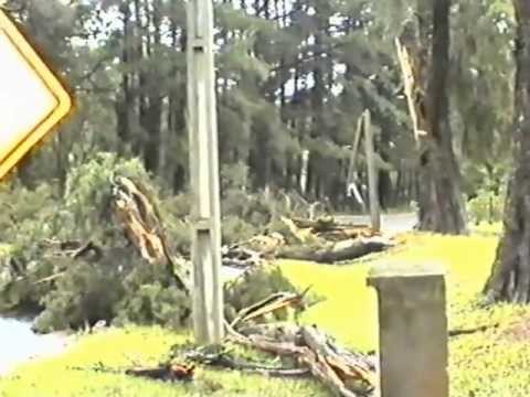 Witmarsum nach einem Sturm 3.11.1997 após uma tempestade em Witmarsum