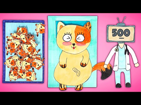 Papier-Mama-Katzenrettung: 500 Kätzchen und DIY-Papierhaus!