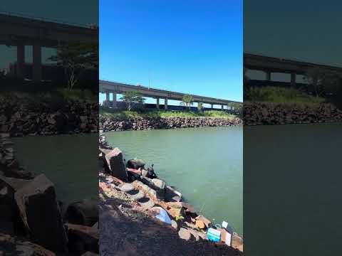 Ponte que divide São Paulo Mato Grosso Rio Paraná Aparecida do Taboado ￼