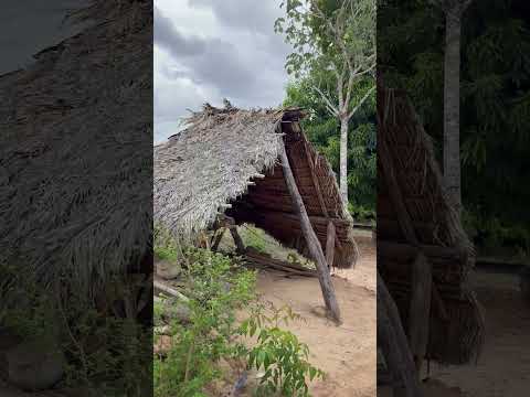 O Jalapão guarda em seu sertão historias escritas pela força do tempo e a simplicidade Jalapoeira.