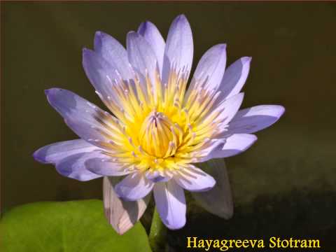 Sri Hayagriva or Hayagreeva Stotram rendition by Mohani Heitel