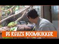 Is de reuze boomkikker de grootste kikker?!  | DierenpraatTV