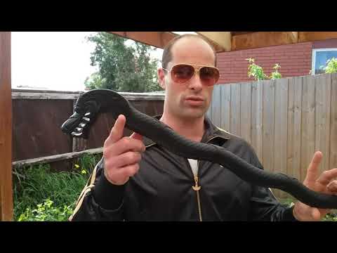 Cold Steel Dragon Walking Stick: Review & Test to Failure