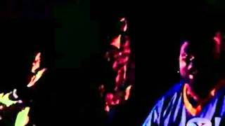 Fu Schnickens   Sum Dum Monkey