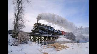 Robin Williamson from Winter's Turning