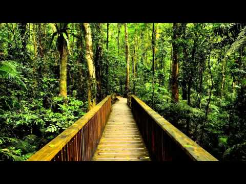 Liquid Drum and Bass Mix #70