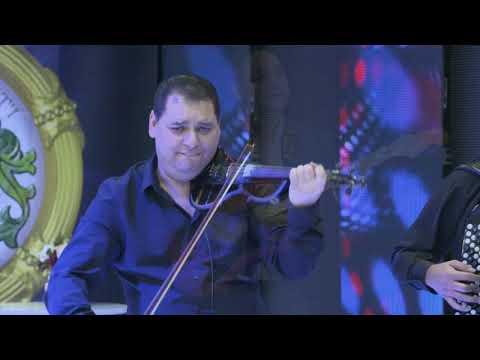 Zeljko Nikolic - Popio sam Popio