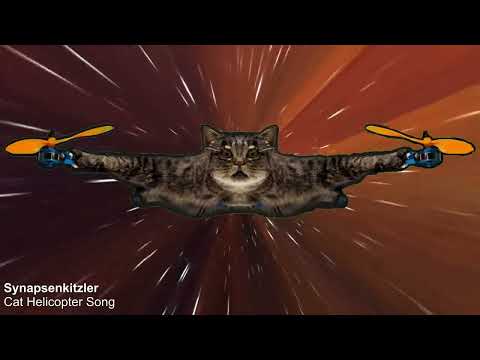 Cat Helicopter Drone Song (flying taxidermy Catcopter) Synapsenkitzler | Frazy.Tv #flugtaxi