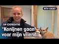 Verliefd op konijnen: Ichel (27) kocht zelfs een ander huis voor ze | RTV Oost