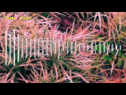 Pakto - Vision [PPM RELEASE]