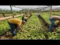 Curso Administração da Pequena Empresa Rural