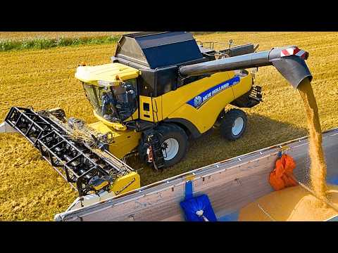 WHEAT HARVEST 2025 NEW HOLLAND CR CRESSONI