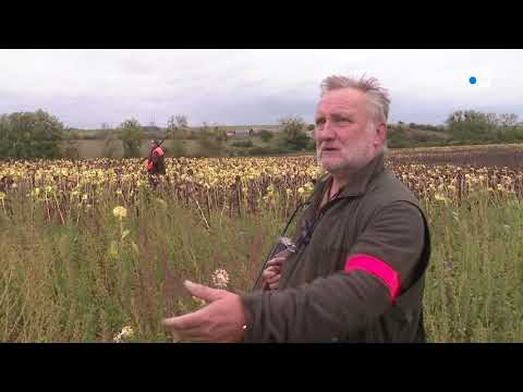 Sarthe : ouverture de la chasse à Vallon-sur-Gée