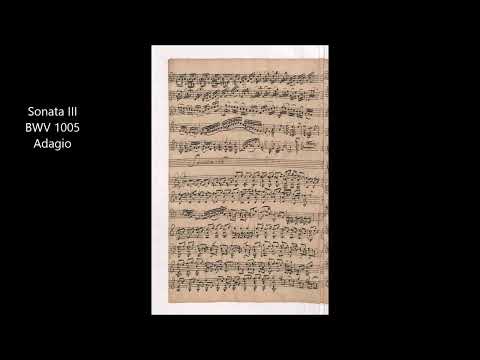 J.S.Bach Sonata III for Violin Solo BWV 1005 Adagio