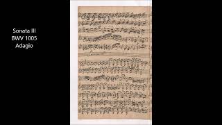 J.S.Bach Sonata III for Violin Solo BWV 1005 Adagio