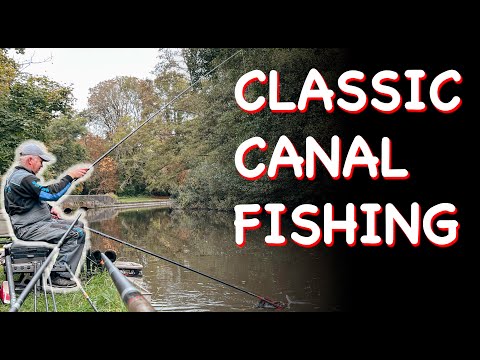 CANAL FISHING - Bread Punch & Chopped Worm ft Simon Willsmore