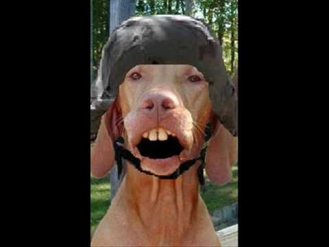 wes harrison's army guy