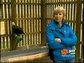 Utopia Wildlife Rehabilitators on PetPalsTV