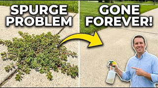 How to Get Rid of Spurge Weed (and Prevent It Forever)