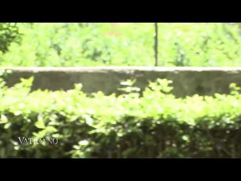 VATICANO - Inquisition - the Black Legend