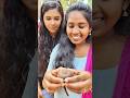 Tom Jerry Rithvi Kavi Real End Twist Shorts