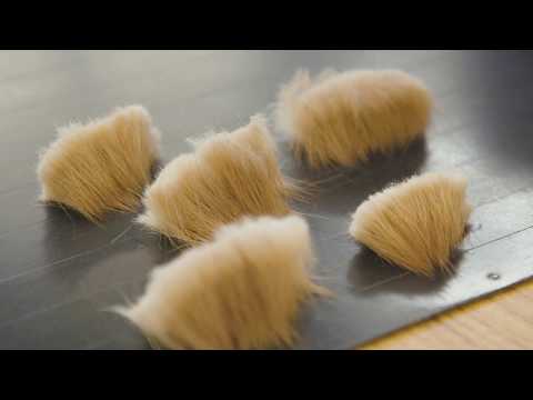 Part of a video titled Why are Series 7 Brushes so expensive? | Winsor & Newton