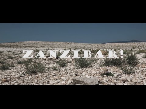 DRVORED - ZANZIBAR (official video)
