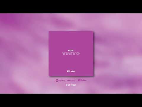 VT1S - Vinivo (Official Audio)