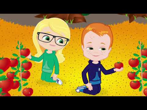 Oxford Bright Ideas 1 - Find Norman 5 Garden Land