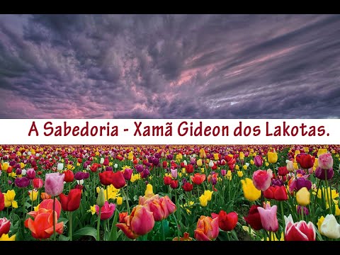 A Sabedoria - por Xamã Gideon dos Lakotas - CNSC - 4K