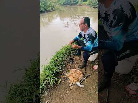 Modo de pesca en el río Frío Guatuso de Alajuela #pesca