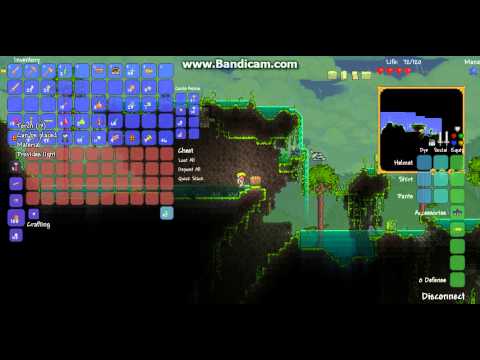 Terraria:Eye of Cthulhu First Night