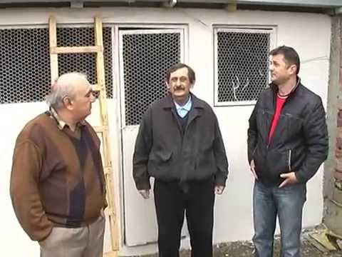 Braća Stanković-Banga i Pidža