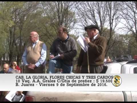 09-09-16 Venta de Vaq A.A. Grales. Preñadas - Cabaña La Gloria e Invitadas - B. Juarez.