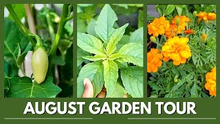 August Garden Tour 2025 | Organic Harvest, Vibrant Veggies & Fresh Inspiration