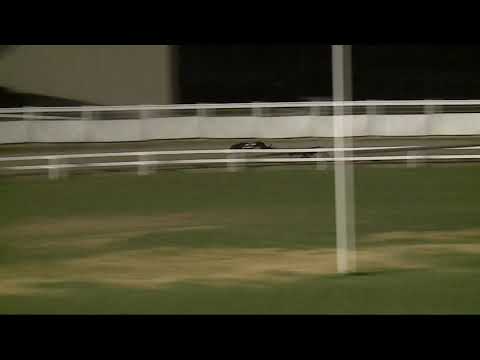 2021.07.02. 05. futam - Kincsem Park Magyar Derby Invitation