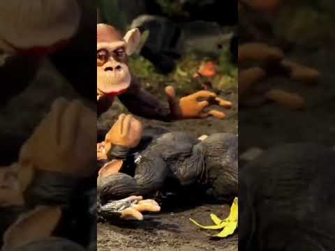 Robot Chicken - Monkey banana slip