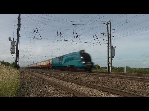 Bittern at 90mph - High Speed Steam Train