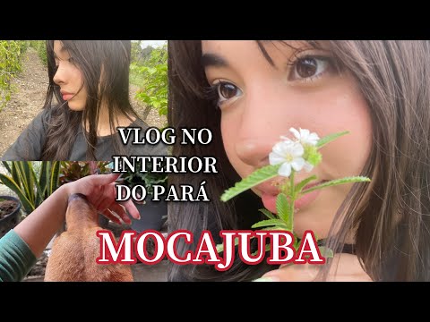 Um dia em Mocajuba (Pará) | Vida no interior da Amazônia 